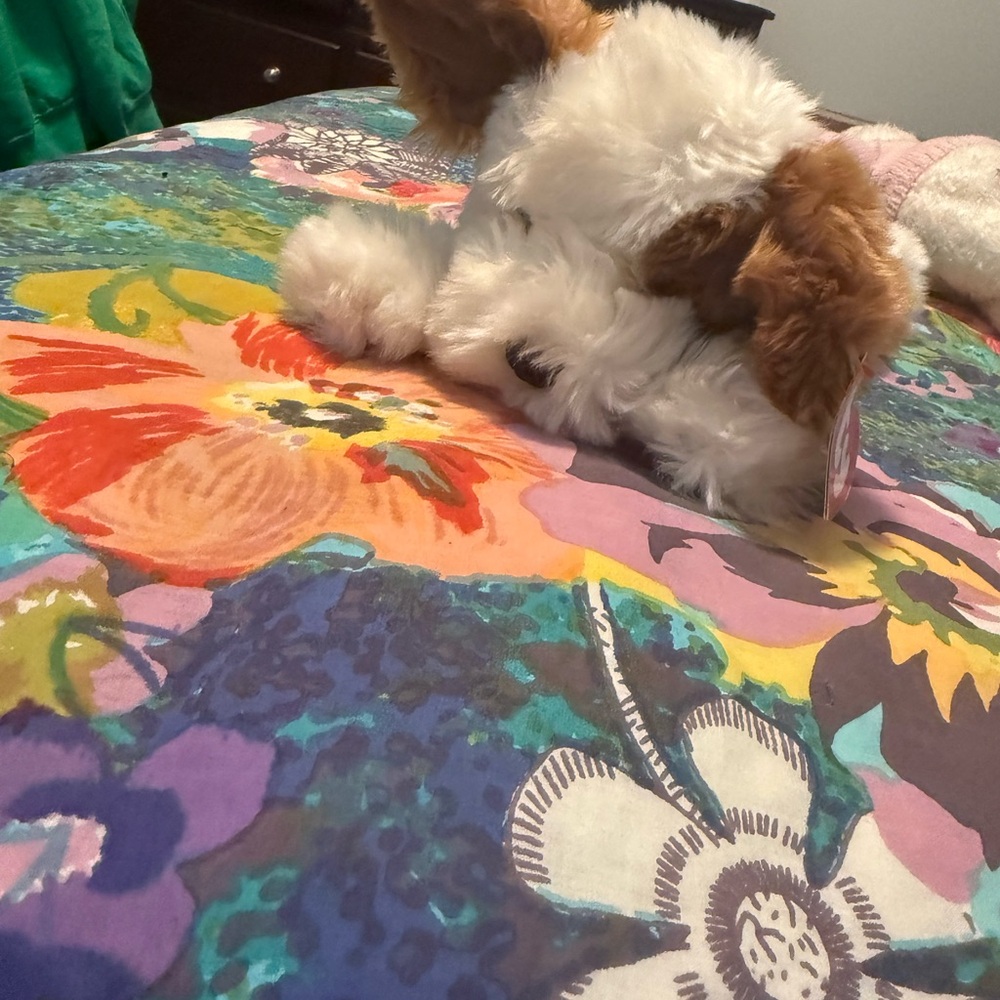 Ty Plush Dog - White and Brown - Picture 1 of 5